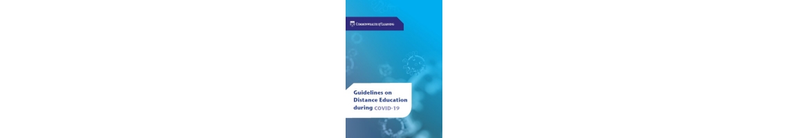 Guidelines on Distance Education during COVID-19