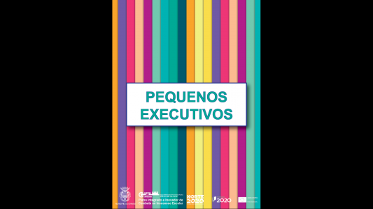 Pequenos executivos (Equipa Multidisciplinar/Parentalidade Positiva do PIICIE do Município de Chaves)